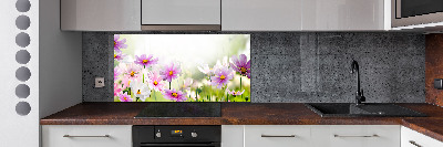 Panneau crédence cuisine Fleurs dans un pré