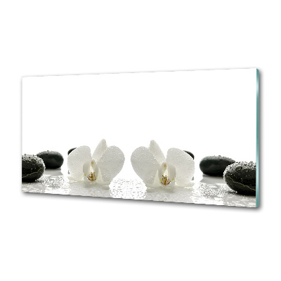Panneau pour cuisine Orchidée