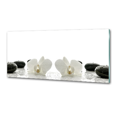Panneau pour cuisine Orchidée