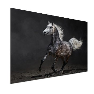 Panneau crédence cuisine Cheval arabe gris