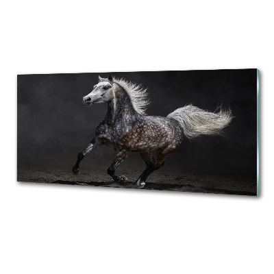 Panneau crédence cuisine Cheval arabe gris