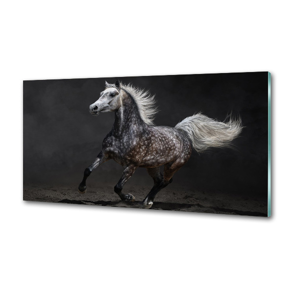 Panneau crédence cuisine Cheval arabe gris