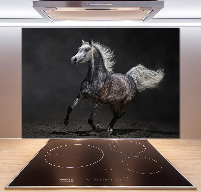 Panneau crédence cuisine Cheval arabe gris