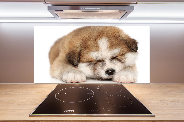 Panneaux muraux cuisine Chiot Akita