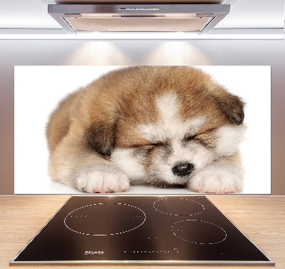 Panneaux muraux cuisine Chiot Akita