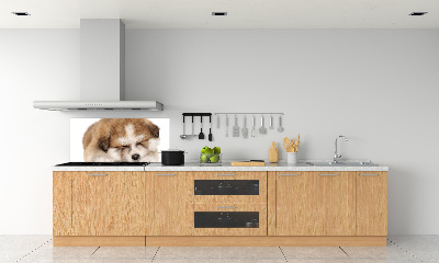 Panneaux muraux cuisine Chiot Akita
