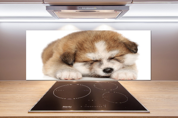 Panneaux muraux cuisine Chiot Akita