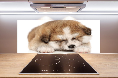 Panneaux muraux cuisine Chiot Akita