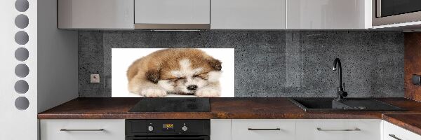 Panneaux muraux cuisine Chiot Akita
