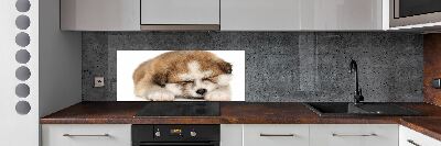 Panneaux muraux cuisine Chiot Akita