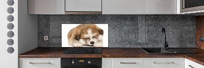 Panneaux muraux cuisine Chiot Akita