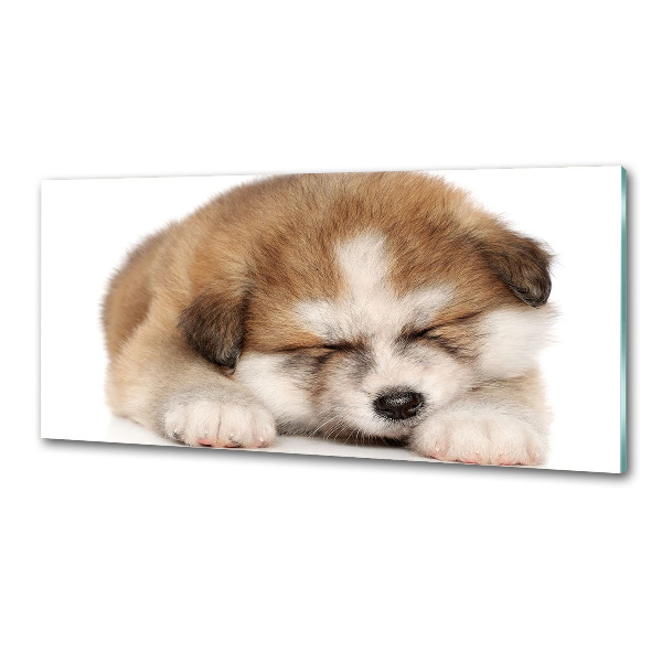 Panneaux muraux cuisine Chiot Akita