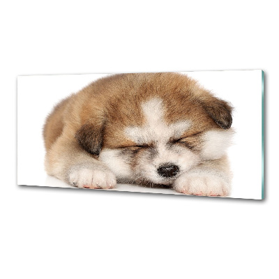 Panneaux muraux cuisine Chiot Akita