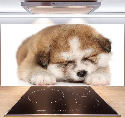 Panneaux muraux cuisine Chiot Akita