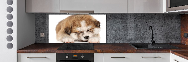 Panneaux muraux cuisine Chiot Akita
