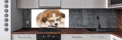 Panneaux muraux cuisine Chiot Akita