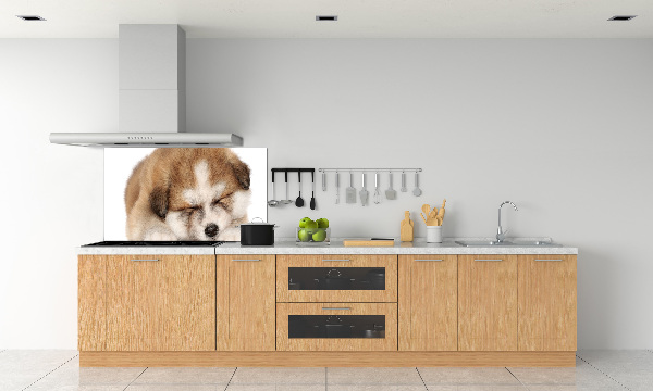 Panneaux muraux cuisine Chiot Akita