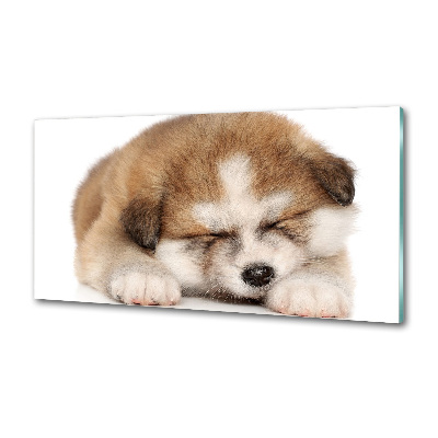 Panneaux muraux cuisine Chiot Akita