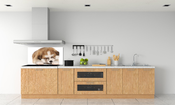 Panneaux muraux cuisine Chiot Akita