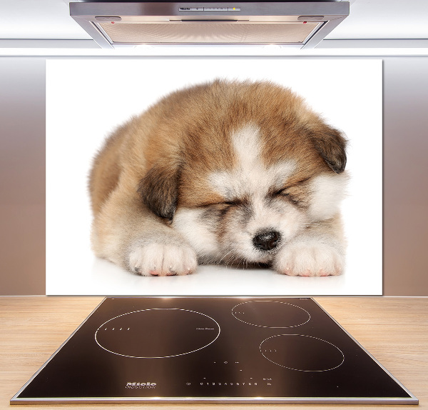Panneaux muraux cuisine Chiot Akita