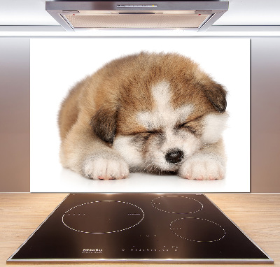 Panneaux muraux cuisine Chiot Akita