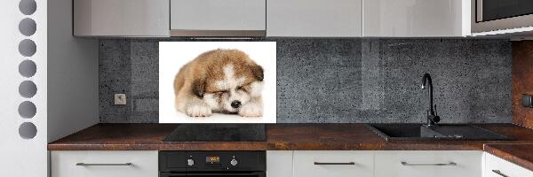 Panneaux muraux cuisine Chiot Akita