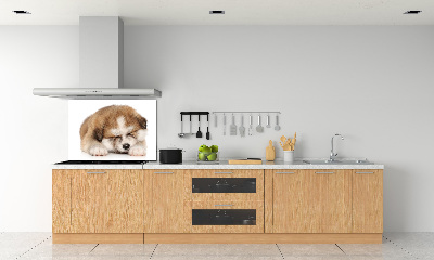 Panneaux muraux cuisine Chiot Akita