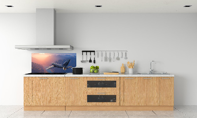 Panneau pour cuisine Avion