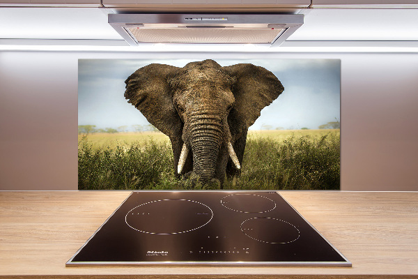 Crédence de cuisine Eléphant dans la savane