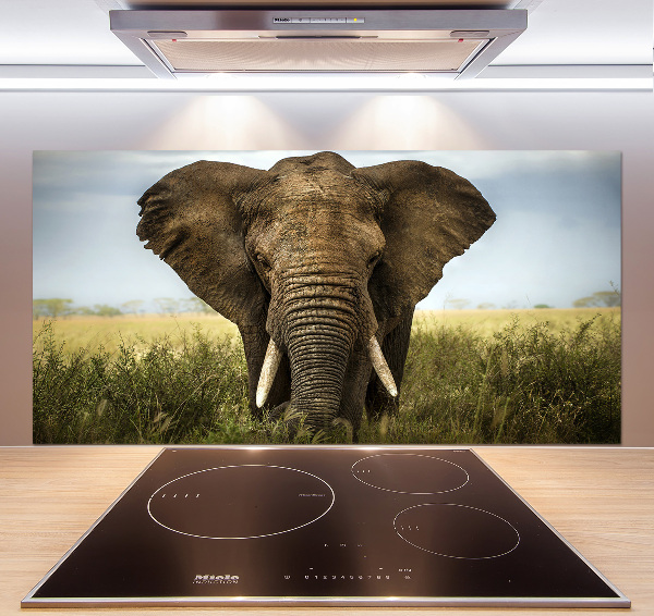 Crédence de cuisine Eléphant dans la savane