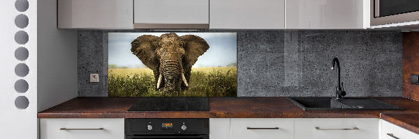 Crédence de cuisine Eléphant dans la savane