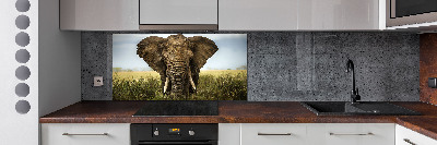 Crédence de cuisine Eléphant dans la savane