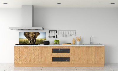 Crédence de cuisine Eléphant dans la savane