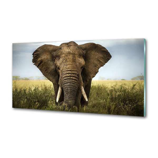 Crédence de cuisine Eléphant dans la savane