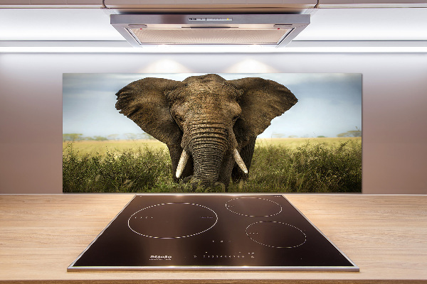 Crédence de cuisine Eléphant dans la savane
