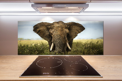 Crédence de cuisine Eléphant dans la savane