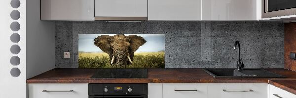 Crédence de cuisine Eléphant dans la savane