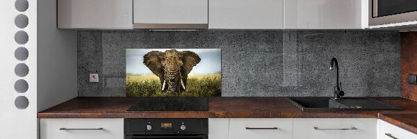 Crédence de cuisine Eléphant dans la savane