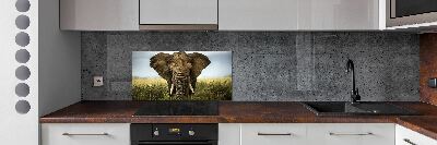 Crédence de cuisine Eléphant dans la savane