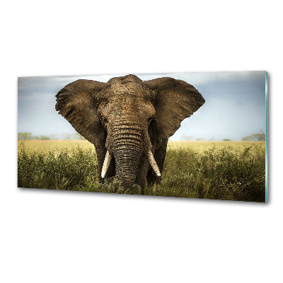 Crédence de cuisine Eléphant dans la savane