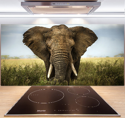 Crédence de cuisine Eléphant dans la savane