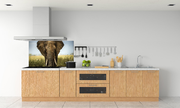 Crédence de cuisine Eléphant dans la savane