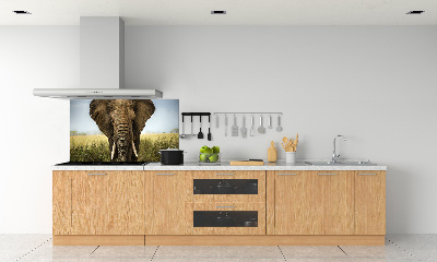 Crédence de cuisine Eléphant dans la savane