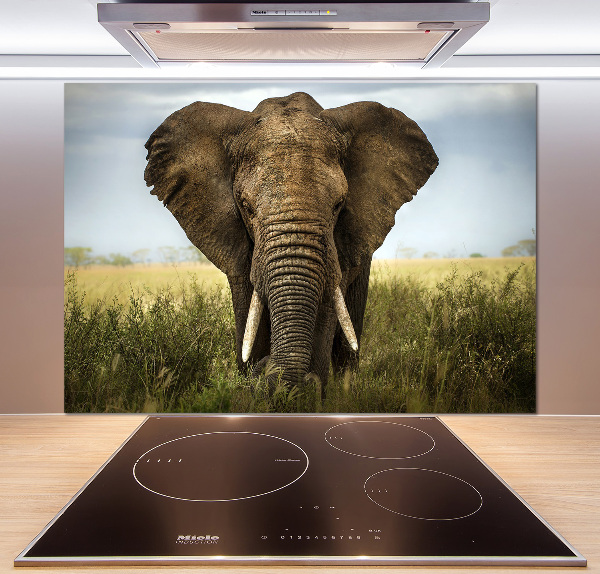Crédence de cuisine Eléphant dans la savane