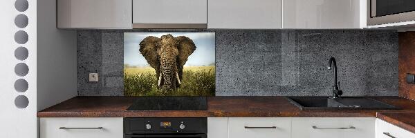 Crédence de cuisine Eléphant dans la savane