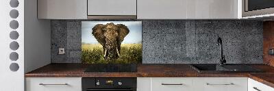 Crédence de cuisine Eléphant dans la savane