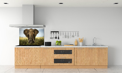 Crédence de cuisine Eléphant dans la savane