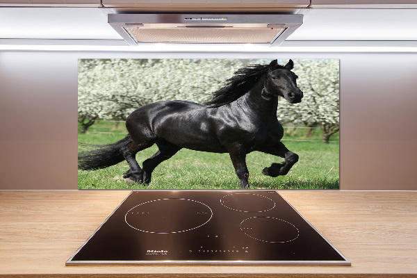 Panneaux muraux cuisine Cheval noir en fleurs