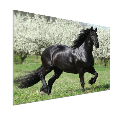Panneaux muraux cuisine Cheval noir en fleurs