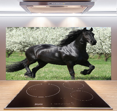 Panneaux muraux cuisine Cheval noir en fleurs